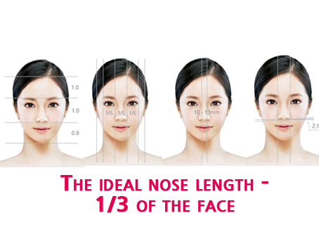 ideal-nose-length